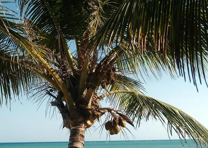 Kaoba Oceanfront Residences * Tulum