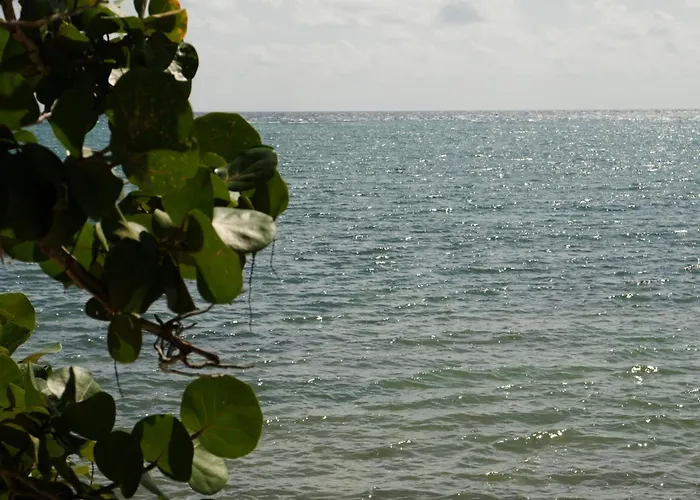 Kaoba Oceanfront Residences * Tulum